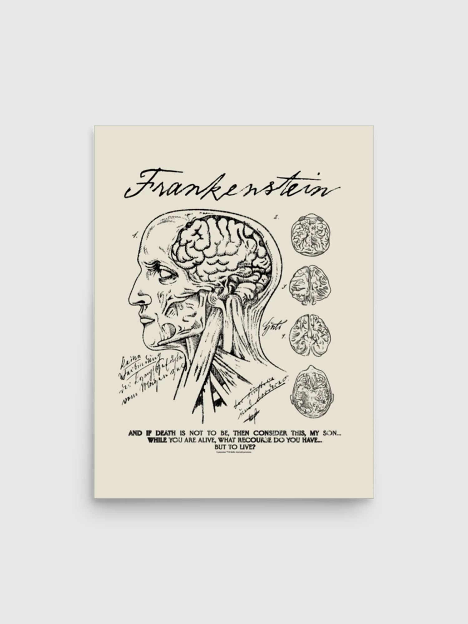 Frankenstein Poster Anatomy Drawing